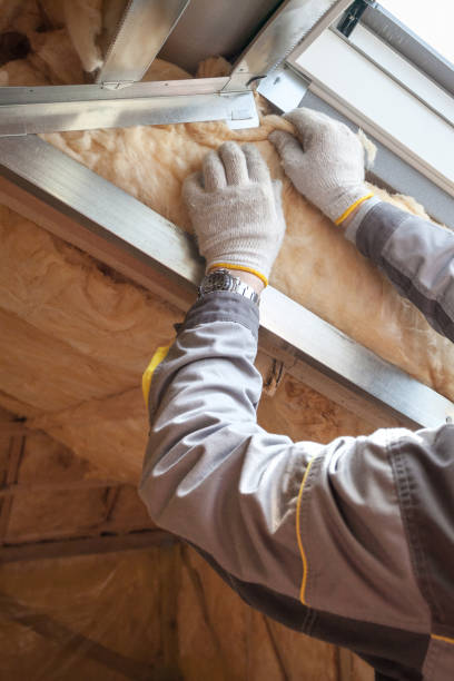 Best Fireproof Insulation  in Ina, IL